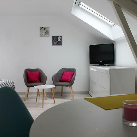 Gite Le Jardinier 埃皮纳勒 外观 照片