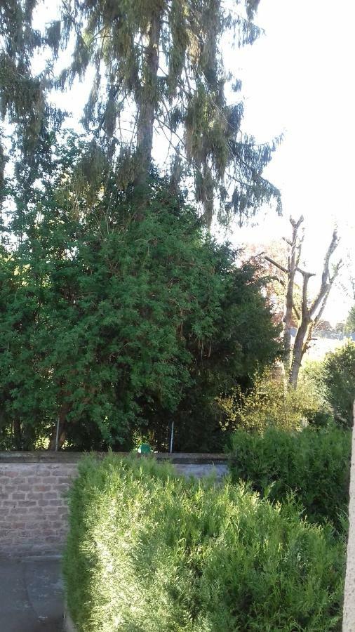 Gite Le Jardinier 埃皮纳勒 外观 照片